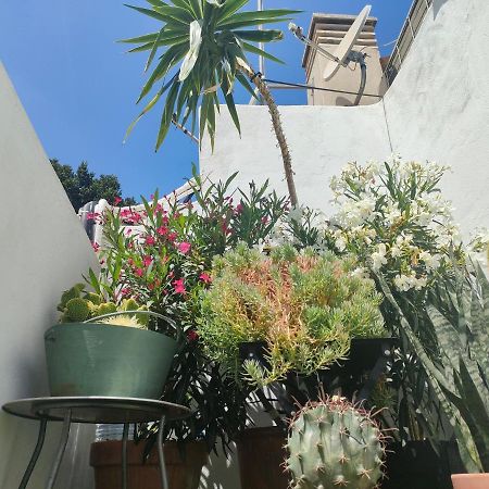 Apartament Historic Center Private Terrace Malaga Zewnętrze zdjęcie