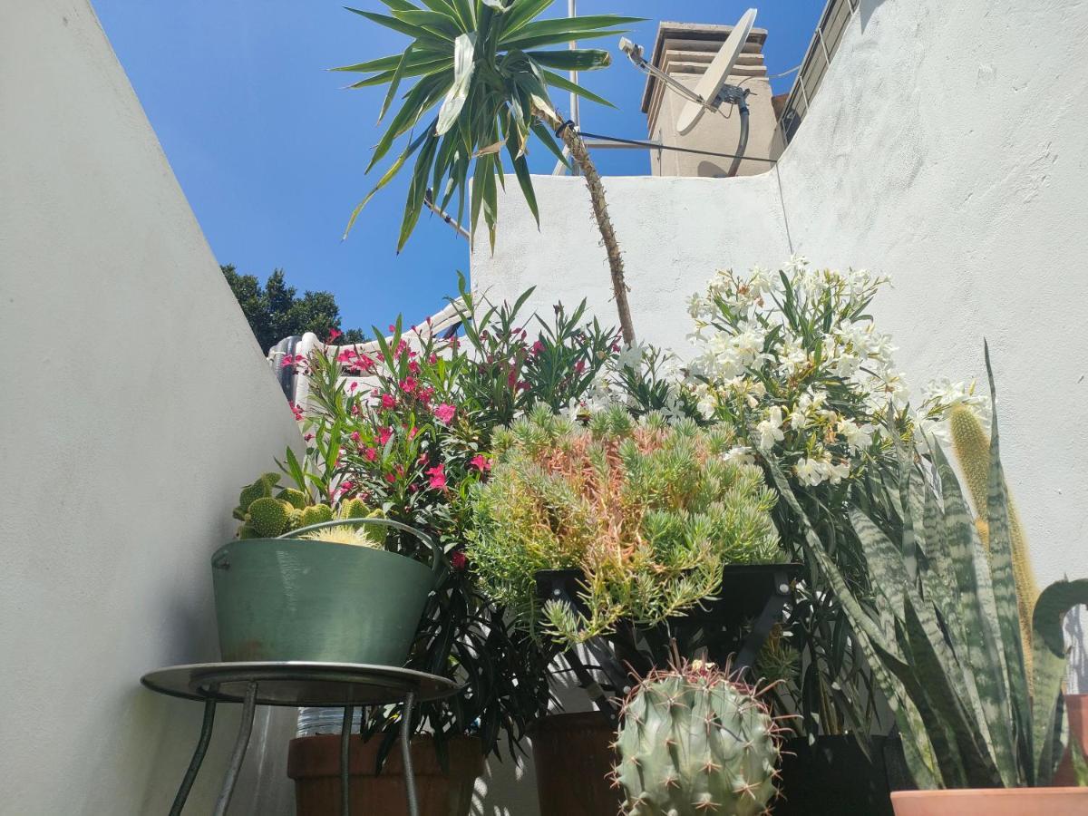 Apartament Historic Center Private Terrace Malaga Zewnętrze zdjęcie